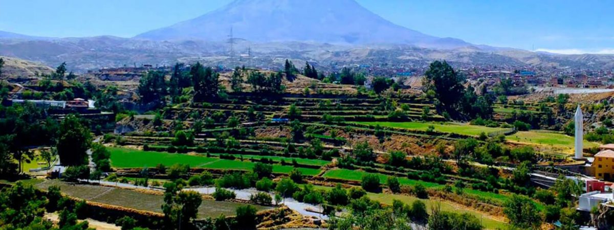 campinas-arequipa