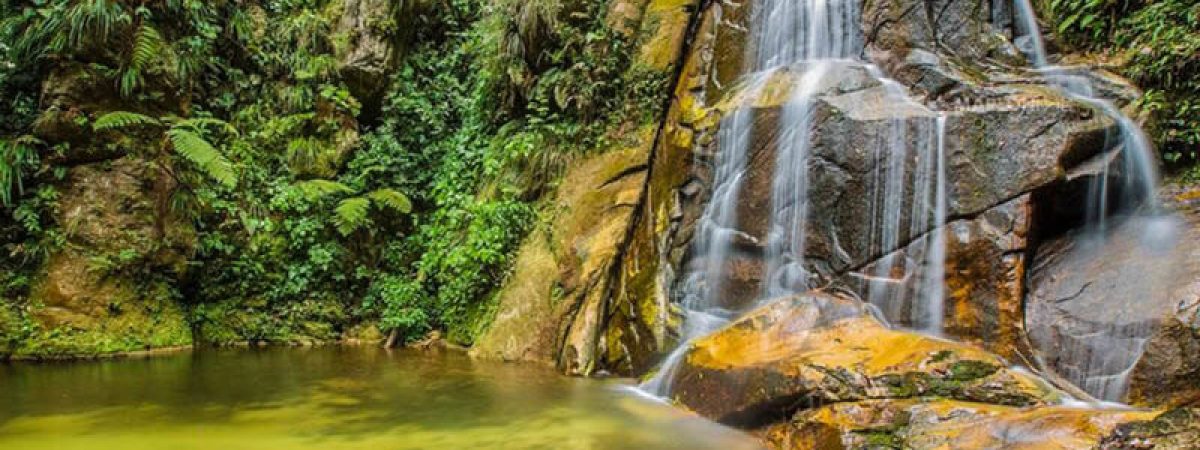 huacamaillo-tarapoto
