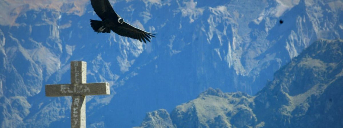 mirador-condor-arequipa