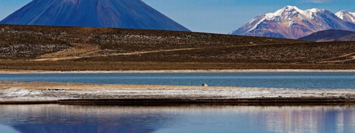 salinas-arequipa