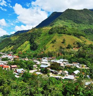 selva-central-2
