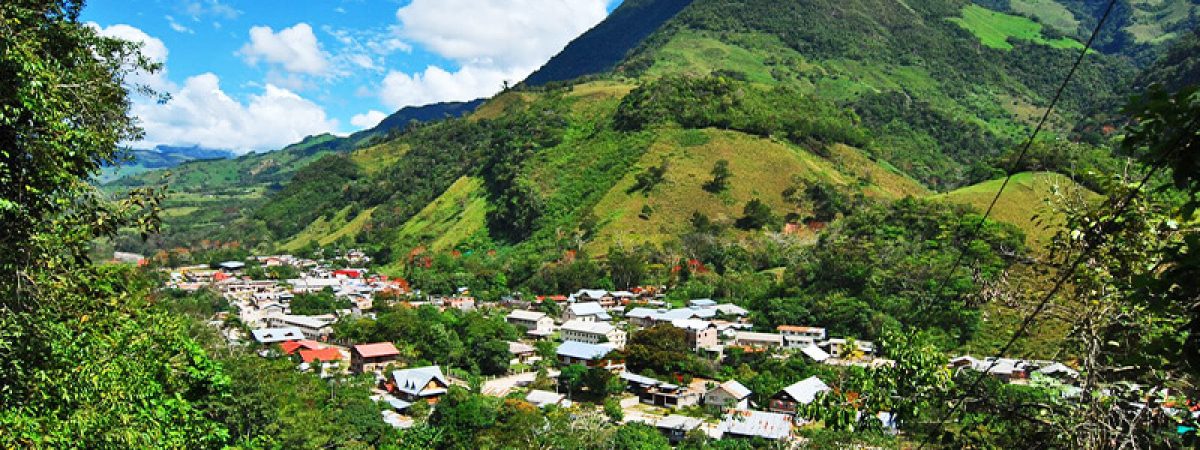 selva-central-2