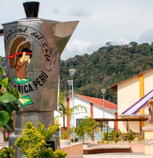 selva-central-villa-rica