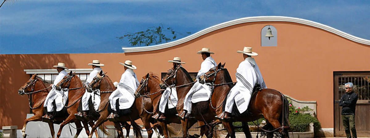tour-pachacamac-caballos-de-paso